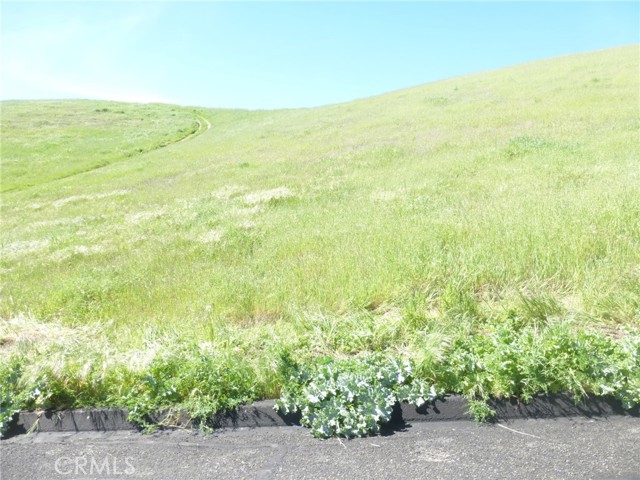 Detail Gallery Image 18 of 42 For 0 Douglas Rd. (Lot 28), San Miguel,  CA 93451 - – Beds | – Baths