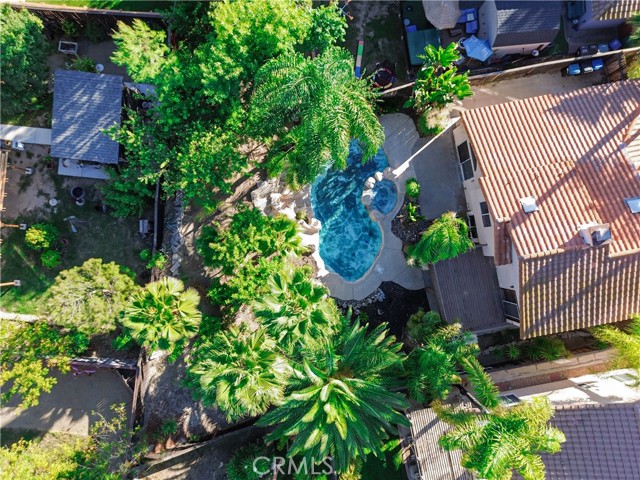 Image 65 of 66 For 39270 Corte Pluma