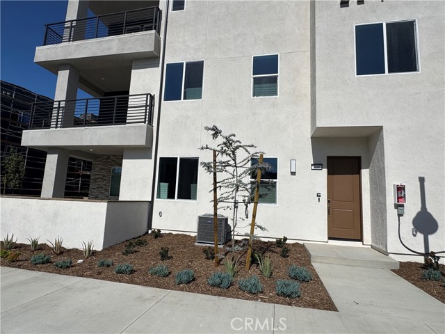 Front Image Thumbnail for CROC25279030