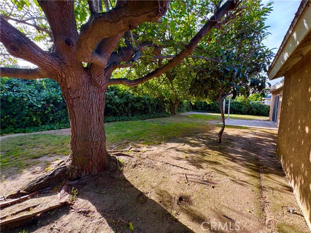 1255 Lawrence Circle, Simi Valley CA: https://media.crmls.org/medias/37837d6f-87a2-4890-913b-9caf683924e8.jpg