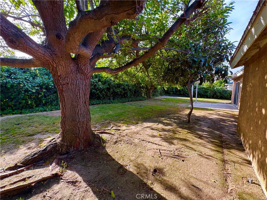 MLS #SR25175669 img 33