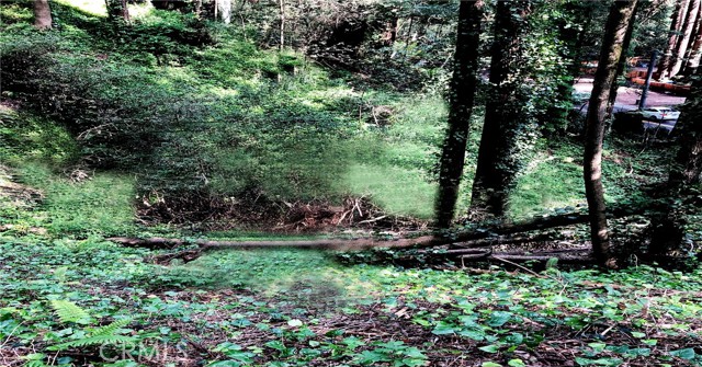 Image 1 of 13 For 18176 Hwy 116