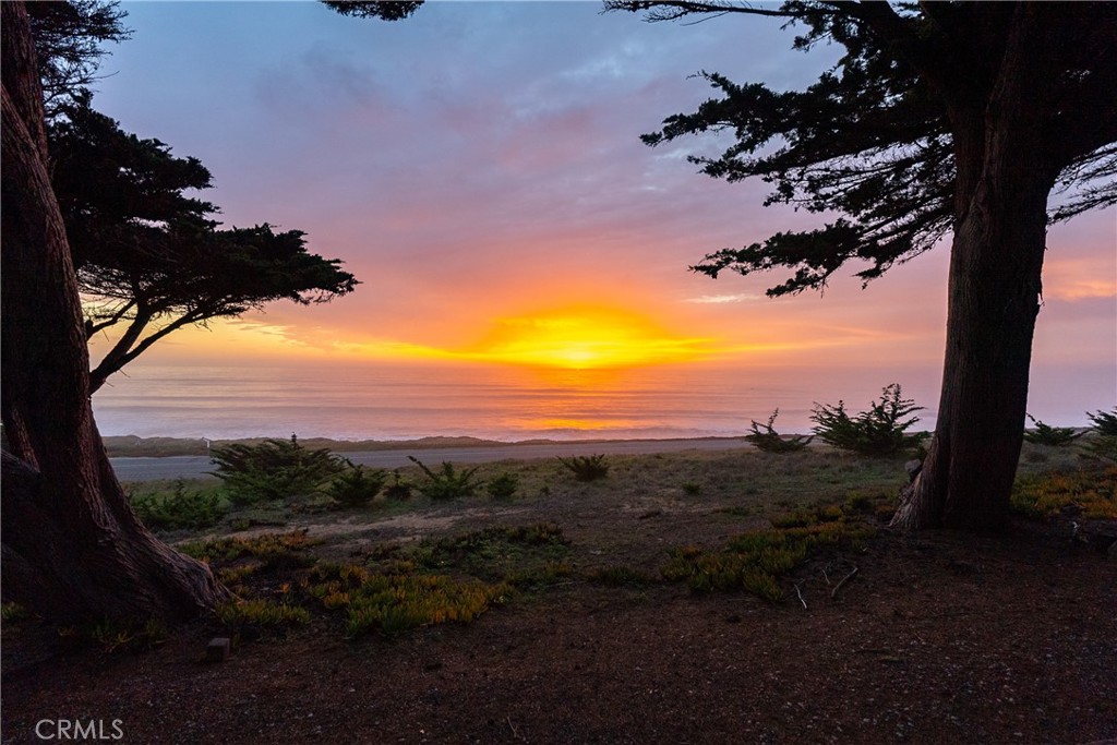 MLS #NS25047717 image #59