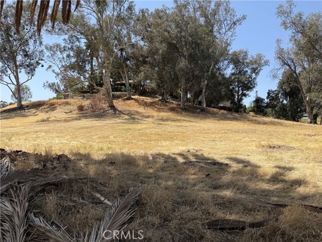 Front Image Thumbnail for CROC26087787