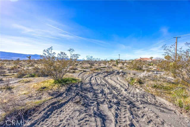 Detail Gallery Image 36 of 61 For 11788 Buckwheat, Pinon Hills,  CA 92371 - 4 Beds | 2 Baths