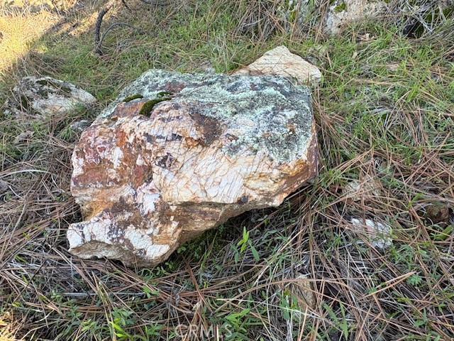 Detail Gallery Image 14 of 34 For 8870 Oro Quincy, Berry Creek,  CA 95916 - – Beds | – Baths