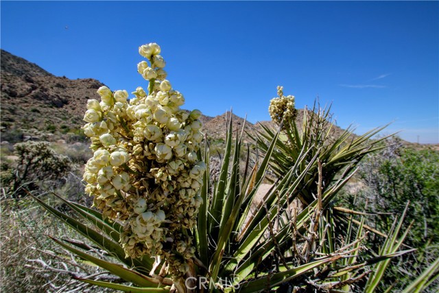 Detail Gallery Image 34 of 38 For 0 San Andreas, Joshua Tree,  CA 92252 - – Beds | – Baths