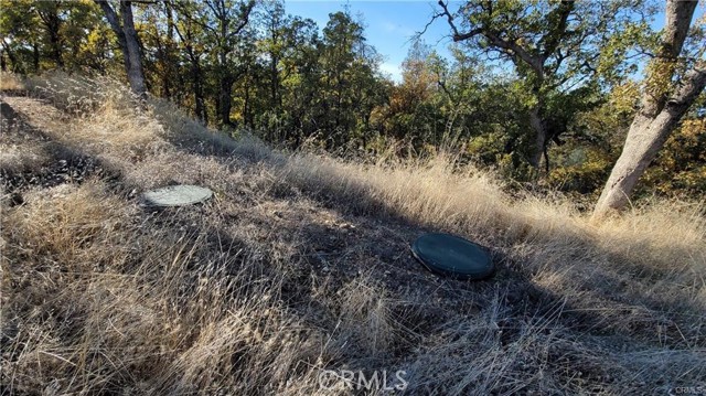 Detail Gallery Image 5 of 7 For 17435 Quail Ridge Rd, Cottonwood,  CA 96022 - – Beds | – Baths