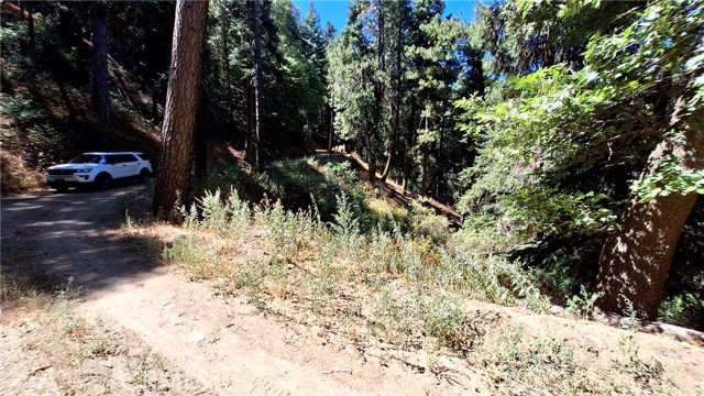 Detail Gallery Image 4 of 6 For 0 El Valle, Cedarpines Park,  CA 92322 - – Beds | – Baths