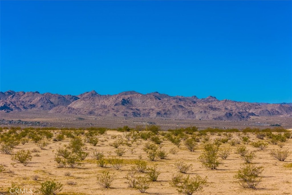 MLS #JT25225678 image #6