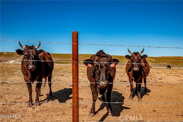 Detail Gallery Image 49 of 69 For 45408 160th, Lancaster,  CA 93536 - 1 Beds | 1 Baths
