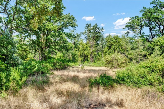 22550 Shady Grove Road, Middletown CA: https://media.crmls.org/medias/37b66252-ebe7-4d00-a629-14aaccc17cf2.jpg