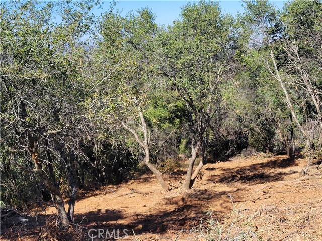 Detail Gallery Image 8 of 12 For 5587 Alta Vista Rd, Mariposa,  CA 95338 - – Beds | – Baths