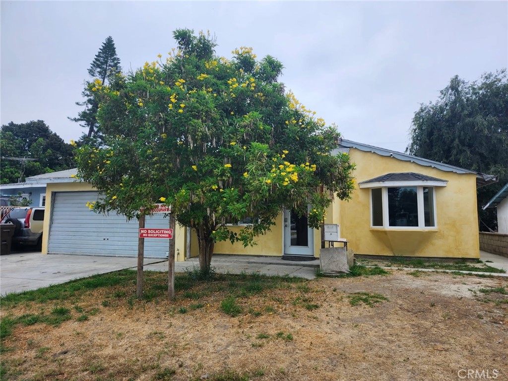 448 Chatterton Avenue