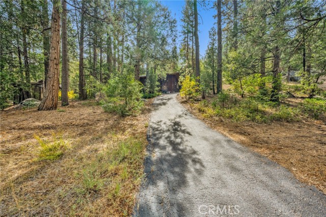 Detail Gallery Image 11 of 31 For 52555 Idyllmont Rd, Idyllwild,  CA 92549 - 2 Beds | 1/1 Baths