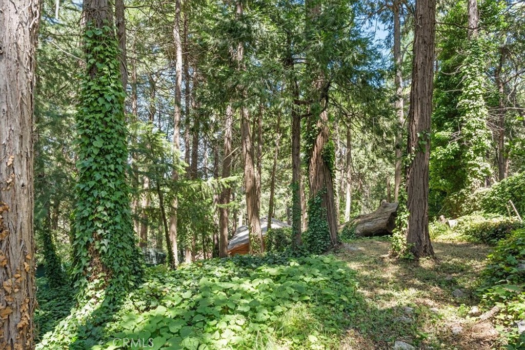 https://media.crmls.org/medias/37bb24b7-8271-41ec-a19c-a5d9ebd0c567.jpg?preset=X-Large