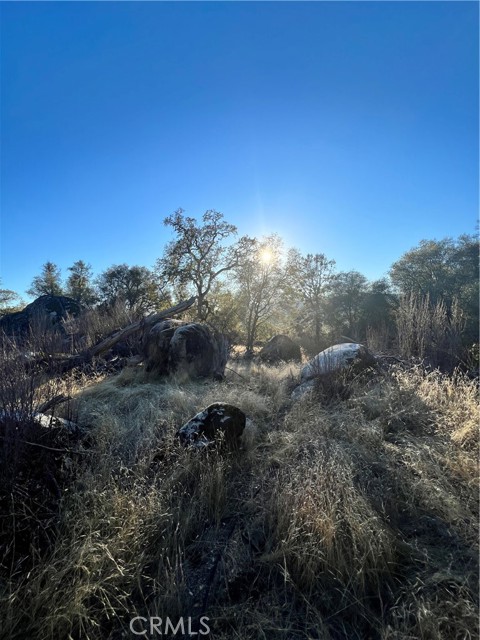 4248 Burl Dr., Mariposa, CA, 95338 4248 Burl Dr., Mariposa, CA, 95338