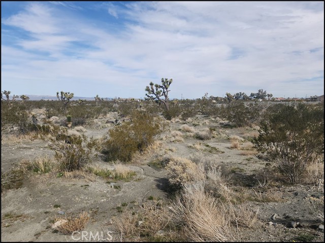 Detail Gallery Image 4 of 11 For 0 Duncan Rd, Pinon Hills,  CA 92372 - – Beds | – Baths