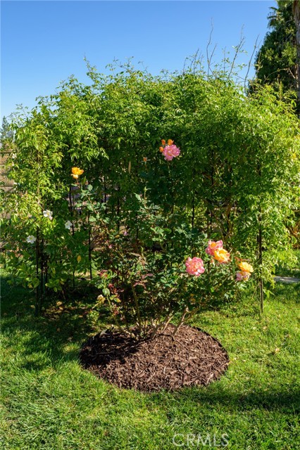 Detail Gallery Image 53 of 59 For 1202 Villanova Pl, Riverside,  CA 92506 - 3 Beds | 2/1 Baths