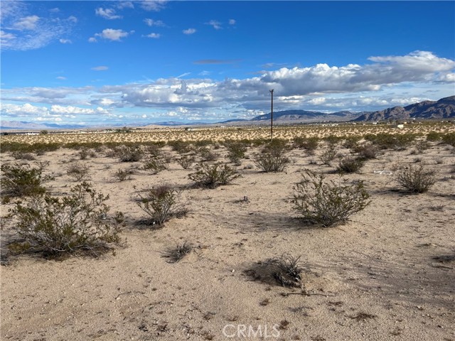 Detail Gallery Image 13 of 21 For 70373 Nandina St, Twentynine Palms,  CA 92277 - – Beds | – Baths