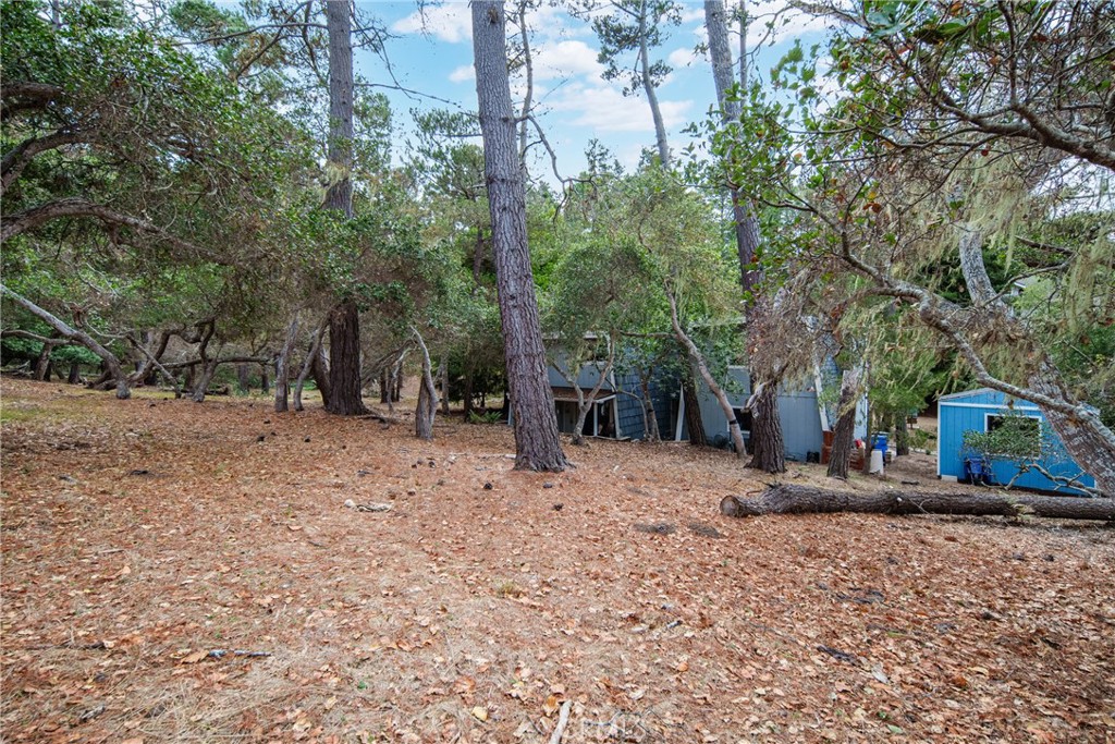 MLS #NS25231762 image #32