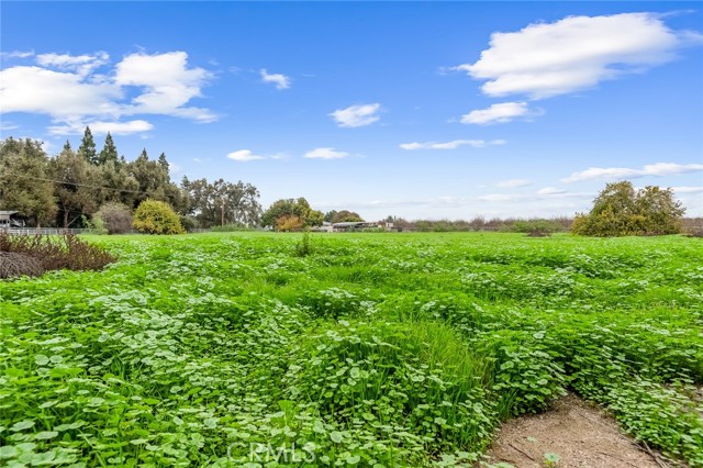 18701 Lort Drive, Visalia CA: https://media.crmls.org/medias/37cdf4c3-a427-4467-a847-4a8f9e59e7e0.jpg