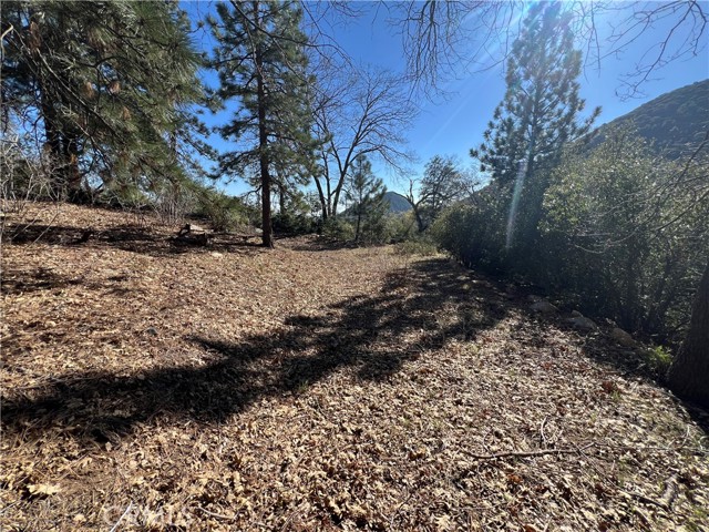 Detail Gallery Image 11 of 18 For 0 Ca-38, Angelus Oaks,  CA 92305 - – Beds | – Baths