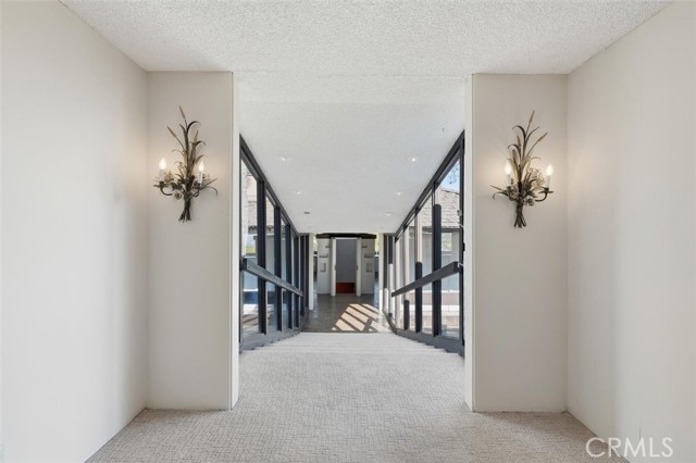 Image 34 of 66 For 100 Saddleback