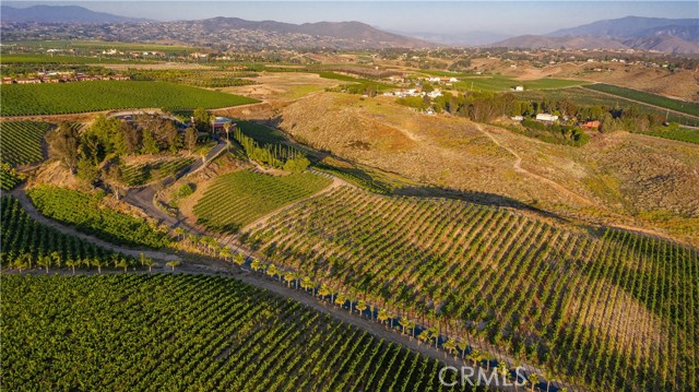 Image 1 of 62 For 40620 Calle Contento