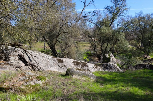 Detail Gallery Image 12 of 24 For 0 6.48 Ac Long Hollow Dr, Coarsegold,  CA 93614 - – Beds | – Baths