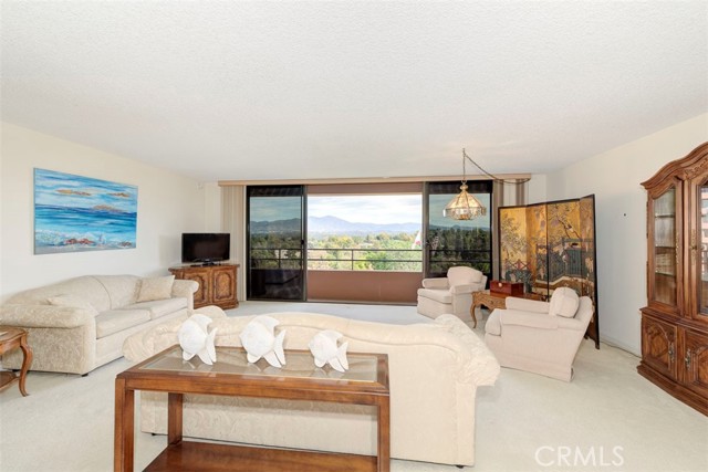 VIEW OF LIVING ROOM SHOWING PANO VIEWS