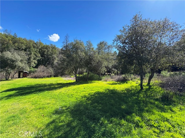 Detail Gallery Image 49 of 60 For 14605 Tomki Rd, Redwood Valley,  CA 95470 - 3 Beds | 2 Baths