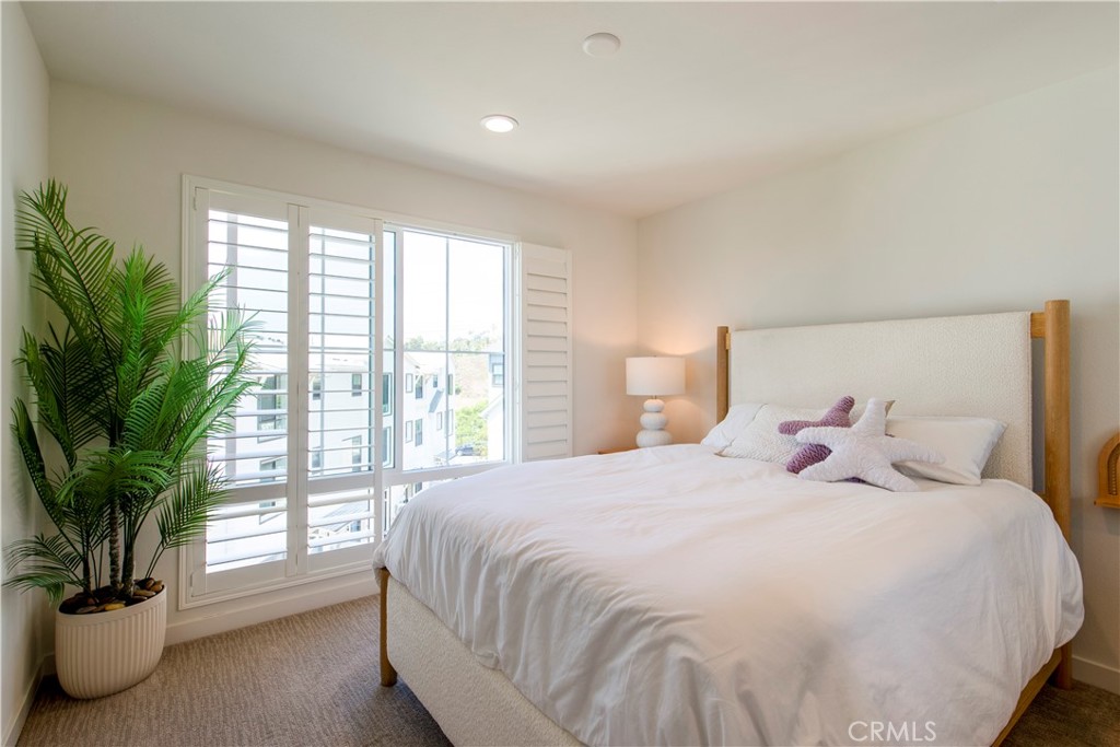 2470 Calendula - photo 18