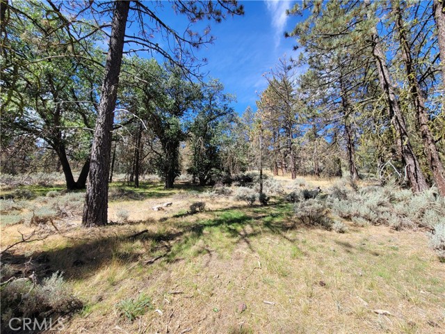 25701 Paramount Drive, Tehachapi, California 93561, ,Land,For Sale,25701 Paramount Drive,CRSR24047441