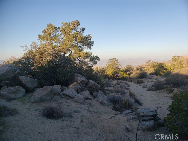 Detail Gallery Image 2 of 49 For 1 Sun Terrace, Mountain Center,  CA 92561 - – Beds | – Baths