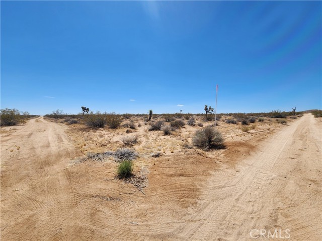 Detail Gallery Image 2 of 9 For 40 Ac Joshua Tree, Joshua Tree,  CA 92252 - – Beds | – Baths