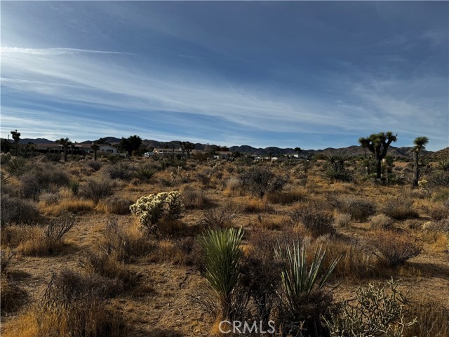 Detail Gallery Image 12 of 12 For 0 Plute Trl, Yucca Valley,  CA 92284 - – Beds | – Baths