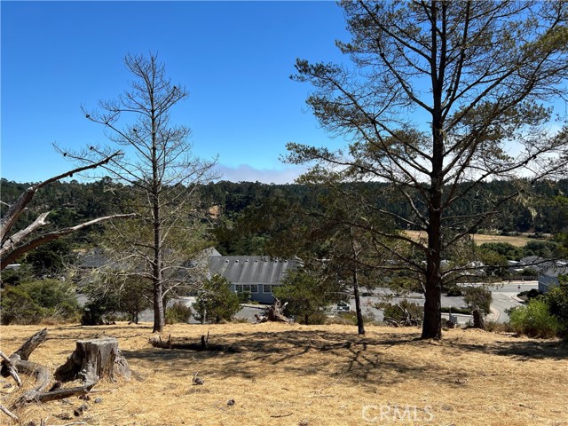 4925 Grove Street, Cambria, California 93428, ,Land,For Sale,4925 Grove Street,CRSC23001880