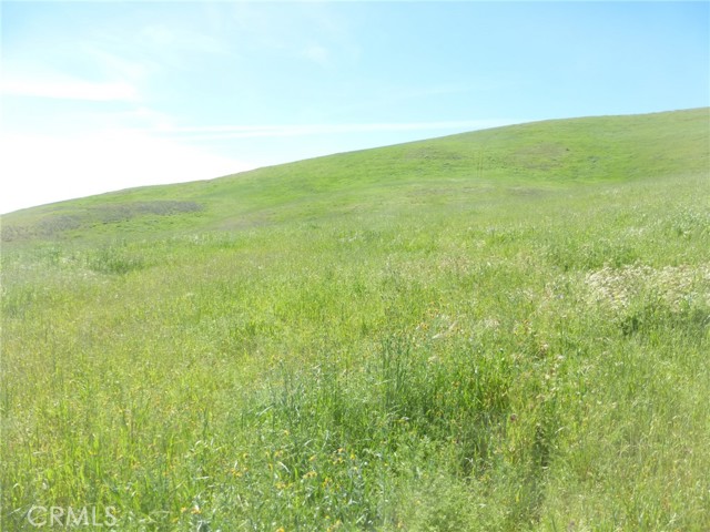 Detail Gallery Image 42 of 44 For 0 Douglas Rd. (Lot 34), San Miguel,  CA 93451 - – Beds | – Baths