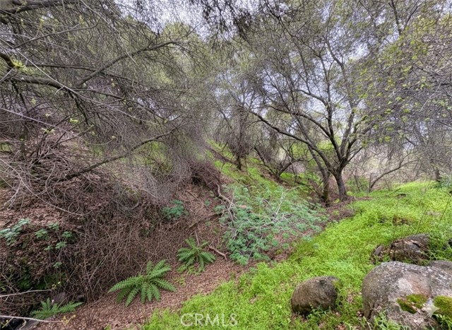 Detail Gallery Image 35 of 38 For 39313 Squaw Valley, Squaw Valley,  CA 93675 - 3 Beds | 2 Baths