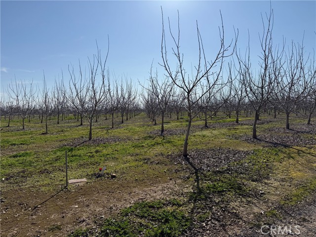 Detail Gallery Image 13 of 18 For 0 Mcfadden Ln, Chico,  CA 95928 - – Beds | – Baths