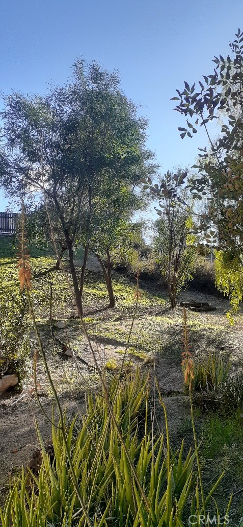 22065 Woodcreek Lane, Wildomar CA: https://media.crmls.org/medias/380c4abd-0c58-408e-80e8-7ecf6673ffbb.jpg