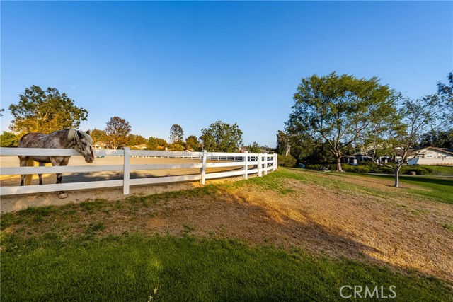 8009 E Eucalyptus Trail, Orange CA: https://media.crmls.org/medias/381054a8-9986-48c2-b52c-03c0d377ce5a.jpg