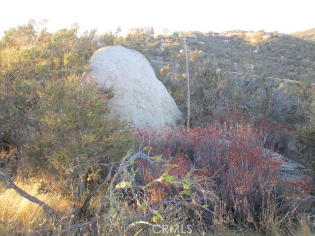 Detail Gallery Image 5 of 10 For 923 Wildlife Trail, Aguanga,  CA 92536 - – Beds | – Baths