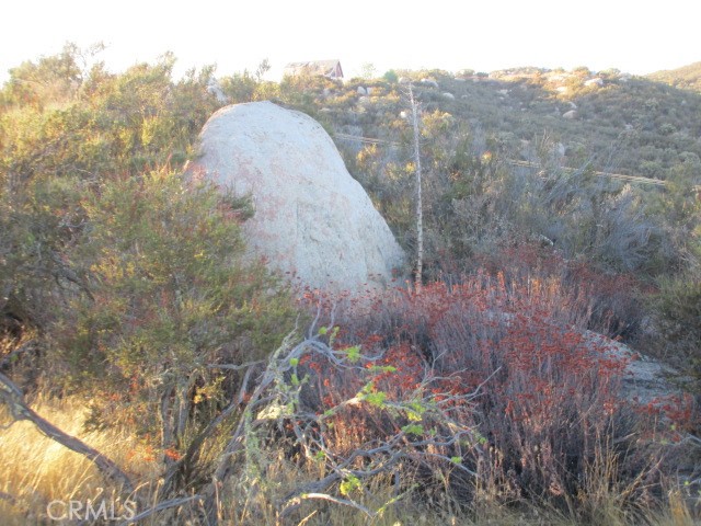 923 Wildlife Trail