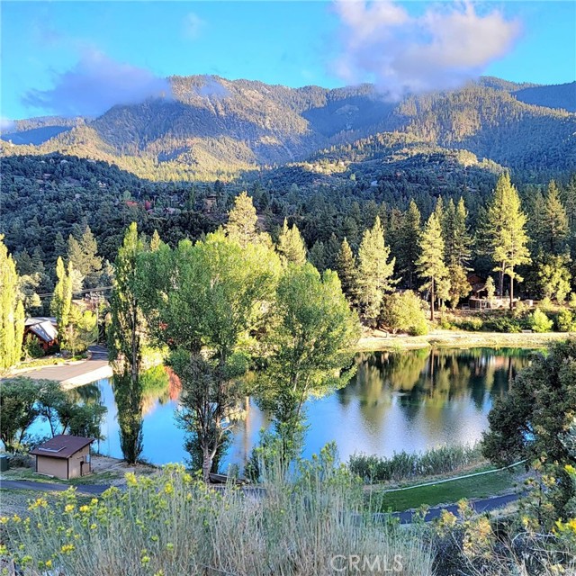 1704 Freeman Drive, Pine Mountain Club CA: https://media.crmls.org/medias/3824762e-54db-449a-90de-d4d416cd274f.jpg