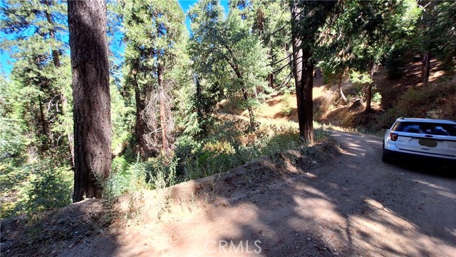 Detail Gallery Image 3 of 6 For 0 El Valle, Cedarpines Park,  CA 92322 - – Beds | – Baths