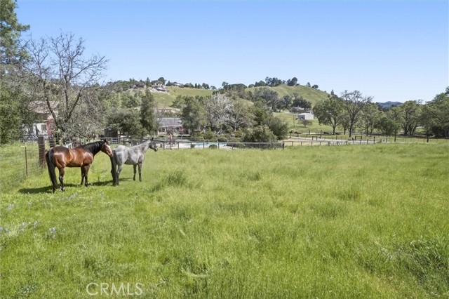 Detail Gallery Image 46 of 57 For 13730 El Camino Real, Atascadero,  CA 93422 - 3 Beds | 2 Baths