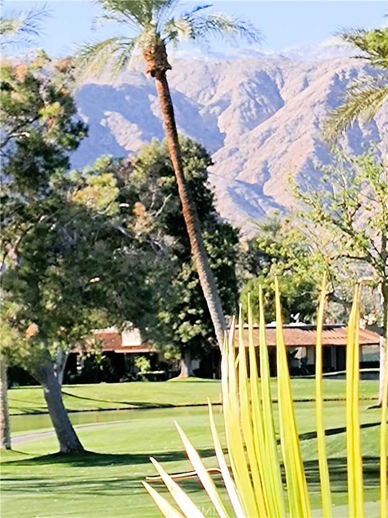 https://media.crmls.org/medias/3835e9b0-ab59-4f09-9a2b-f37d50c9f9aa.jpg?preset=X-Large