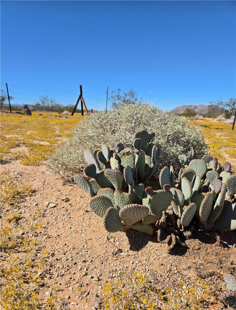 MLS #CV25253033 image #6